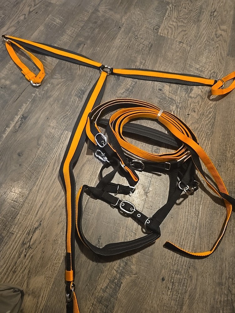 Horse Bridle Set