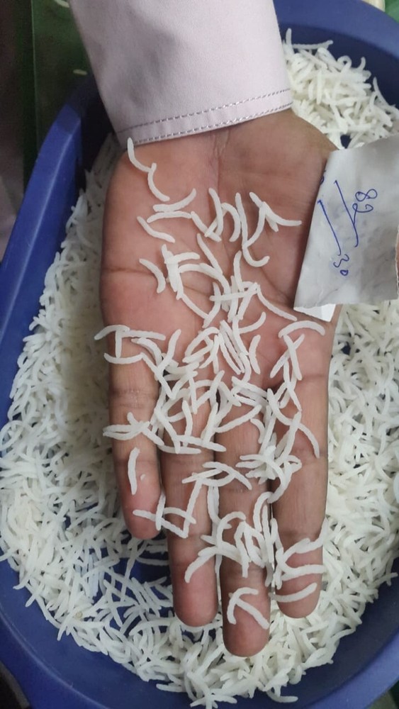 rice