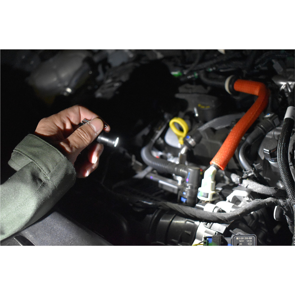 Maxxeon SearchPoint POCO Rechargeable Mini Flashlight Display Kit - 10 Count