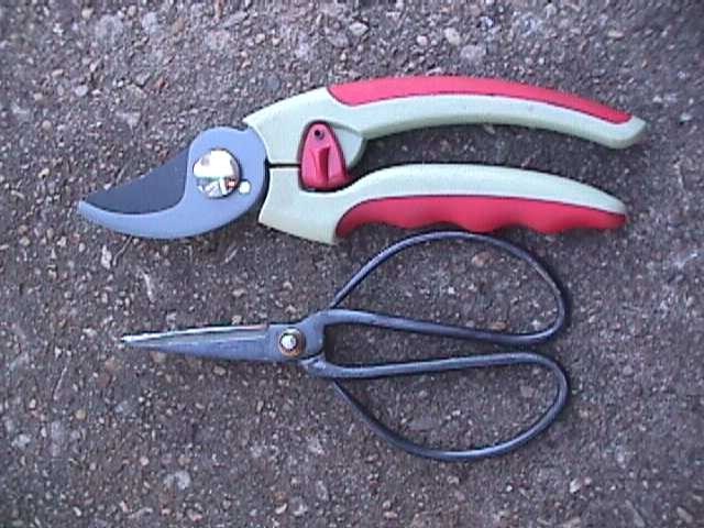 Flower Pruning Scissors Shears Clipper Snips