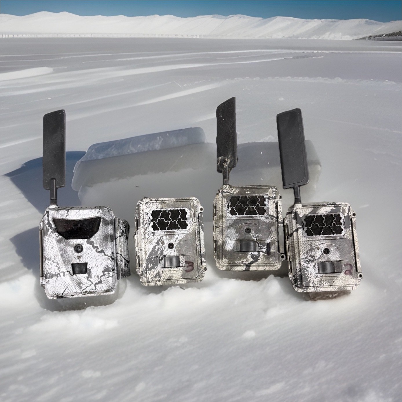 Spartan Go Live cams