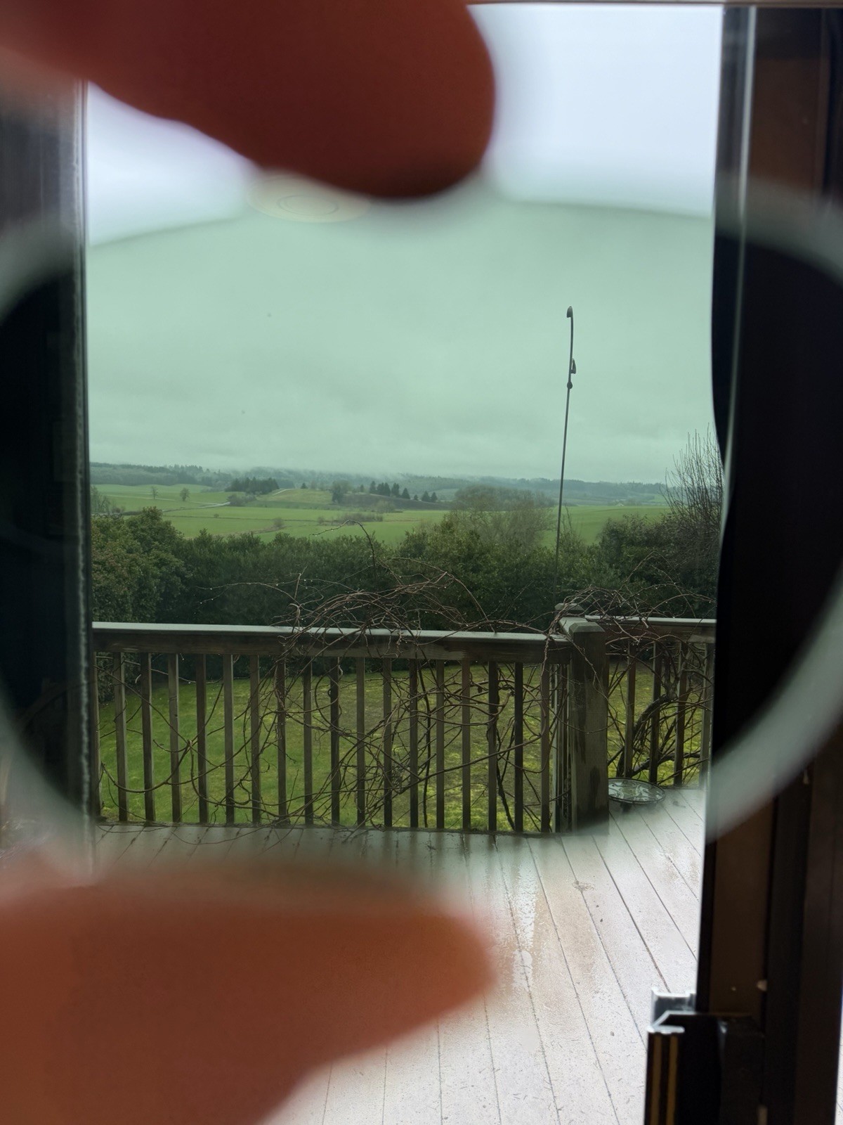 Ray Ban RB2132 New Wayfarer Green G-15 Glass Replacement Lenses Genuine 55mm