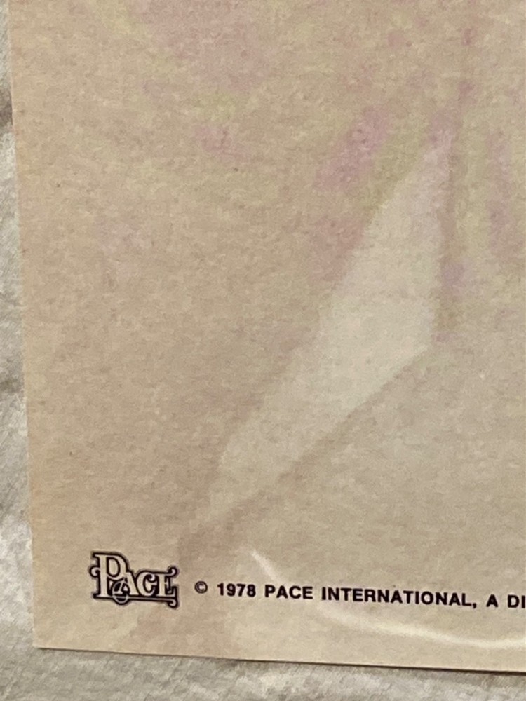 Blondie 1978 Poster Debbie Harry Vinyl Sheets Pace Scotland K