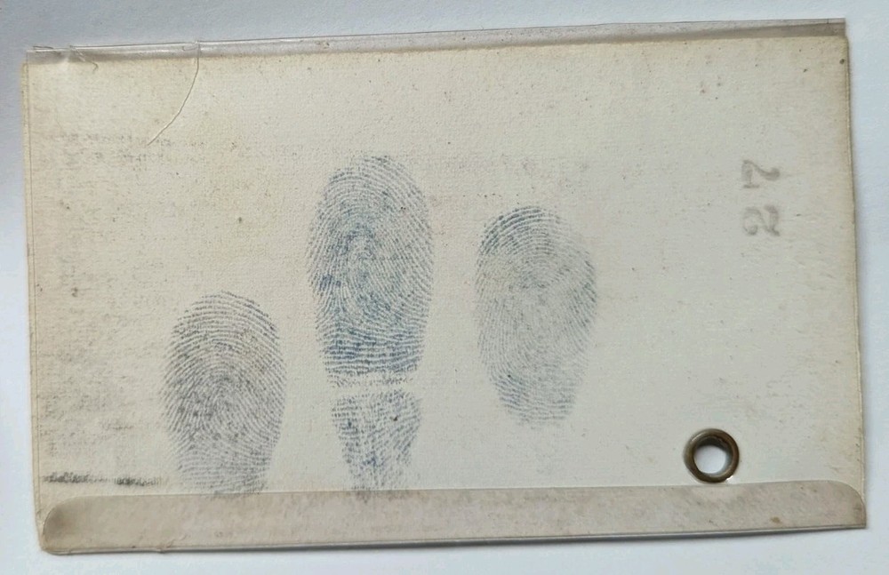 WW2 US Marine Corps Photo ID Card William C. Hahn 519335 XB