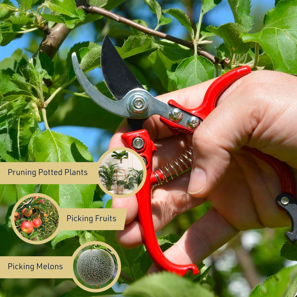 Small Bypass Pruning Shears 6” Heavy Duty Garden Shears Pruning Scissors