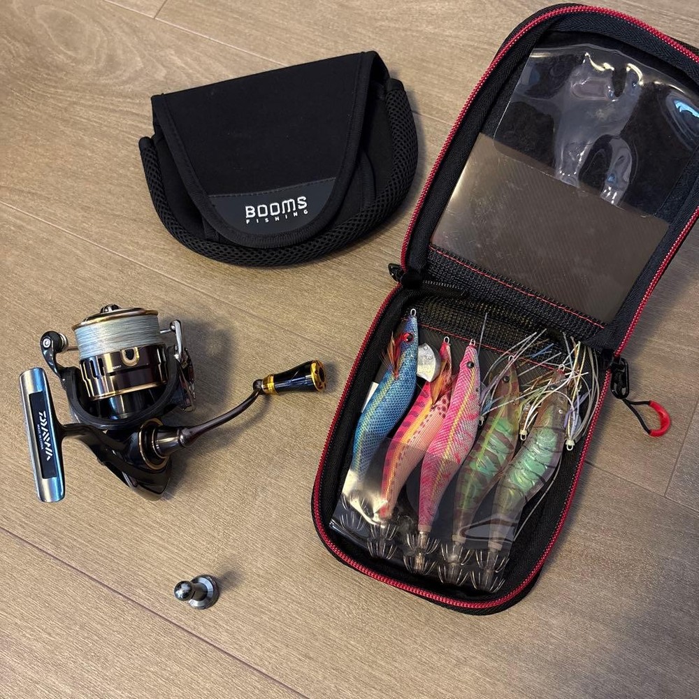 With Bonus Daiwa Theory 2506