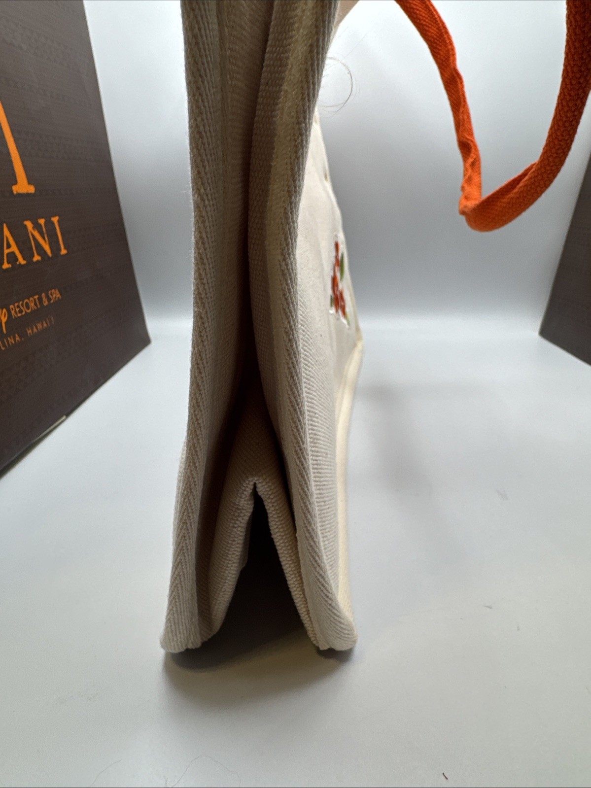 *New Disney Aulani Exclusive Canvas Tote With Patches Shoulder Bag Foldable Flap