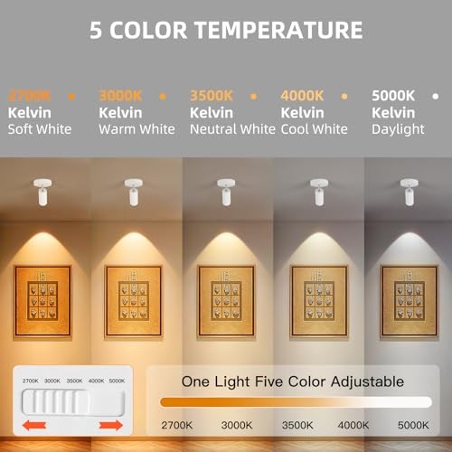 5CCT LED Ceiling Spotlight 12W Dimmable Ceiling Light White- 12 Watts