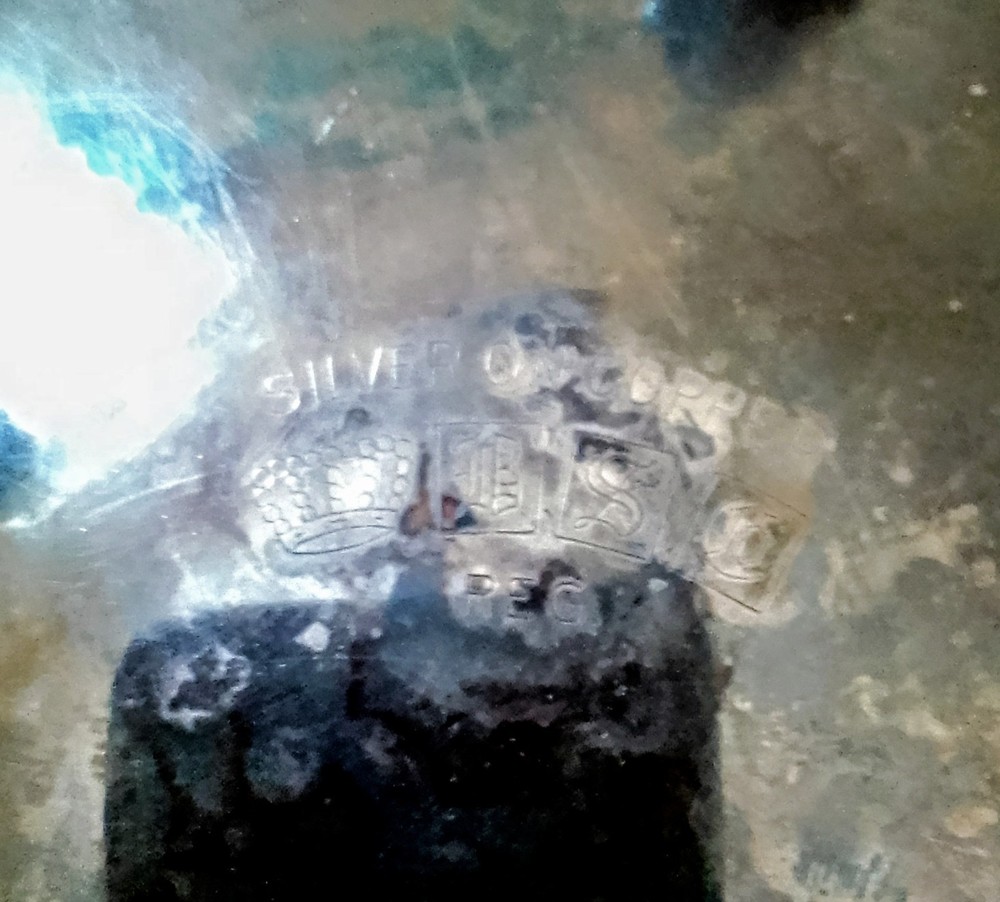 Birmingham Silver Co. BSC Vintage Teapot Silver On Copper