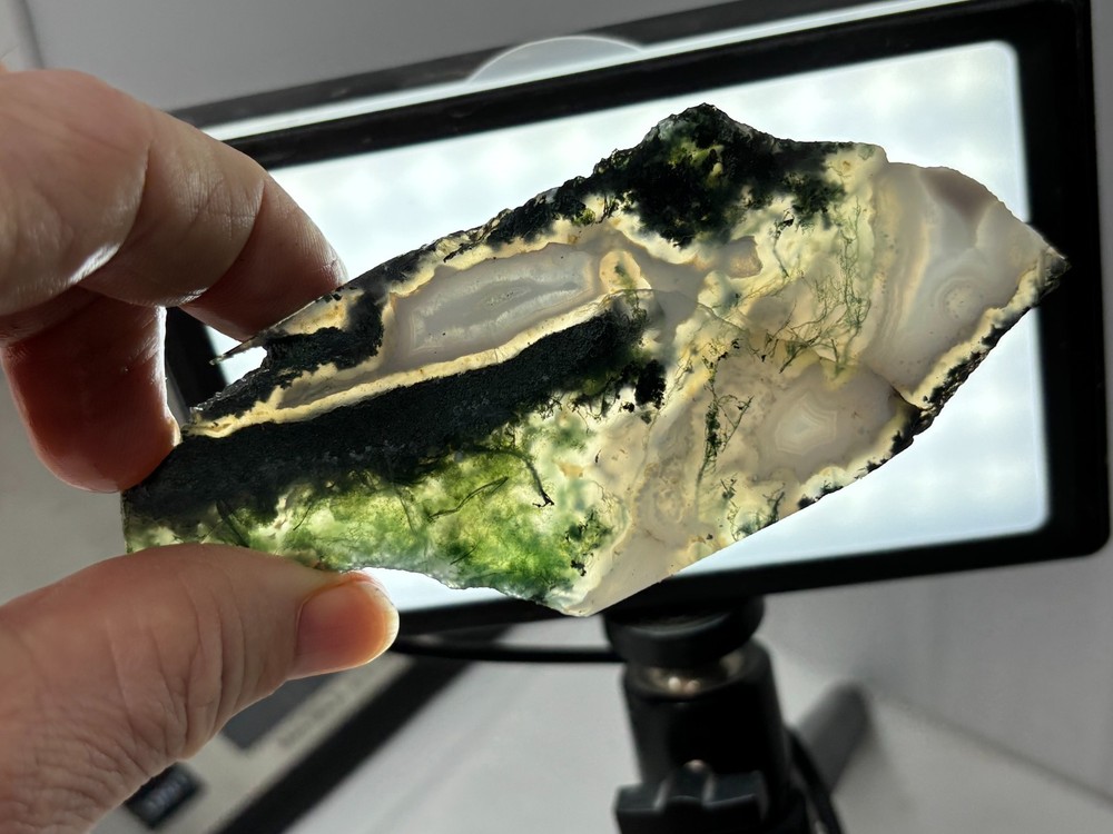 Semi-translucent Moss Agate Slabs Cabbing Lapidary Combo Ship Avail