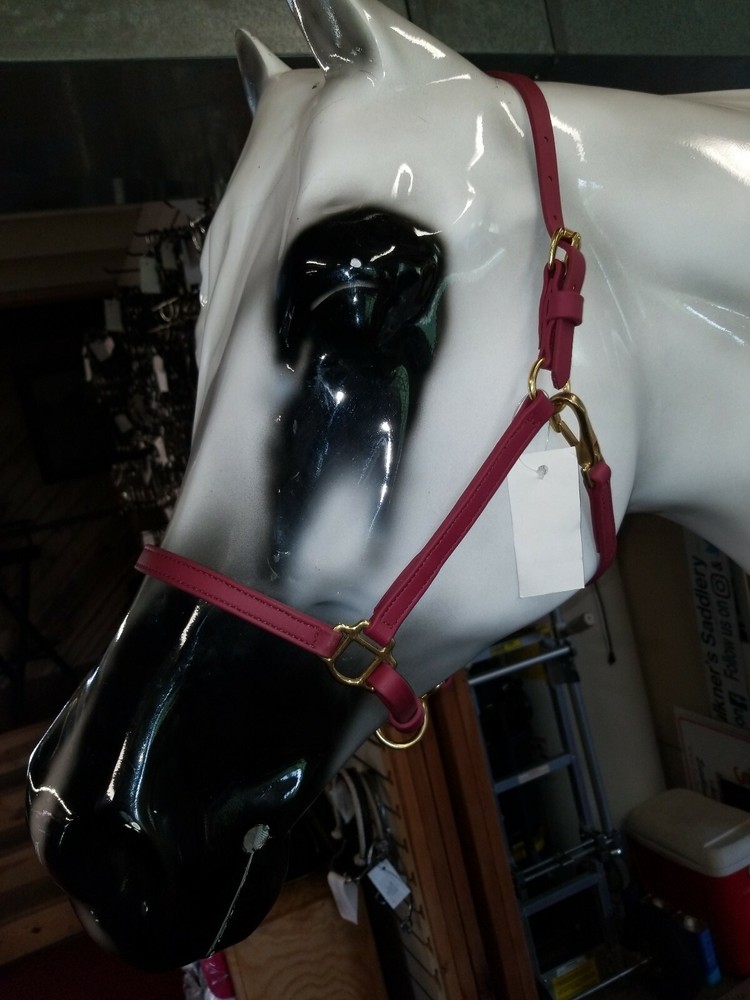 Burgandy Wine Biothane Cob Size Horse Stable  Halter Solid Brass Hardware
