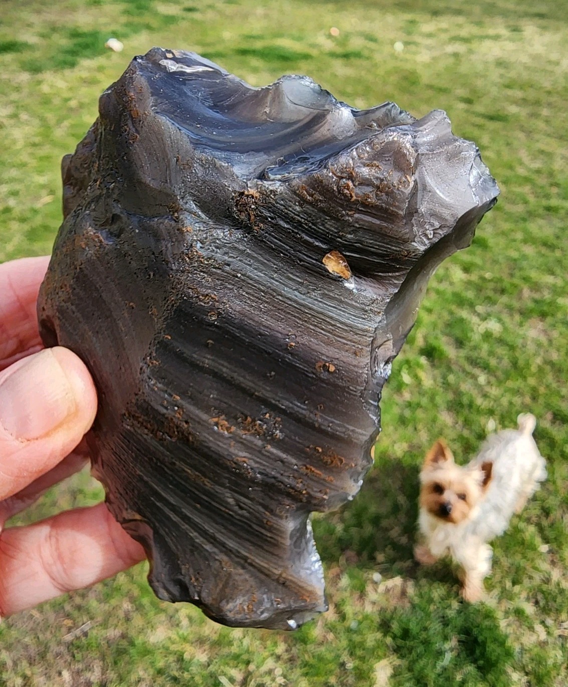 Rainbow Obsidian Natural Stone California 137.9 grams.