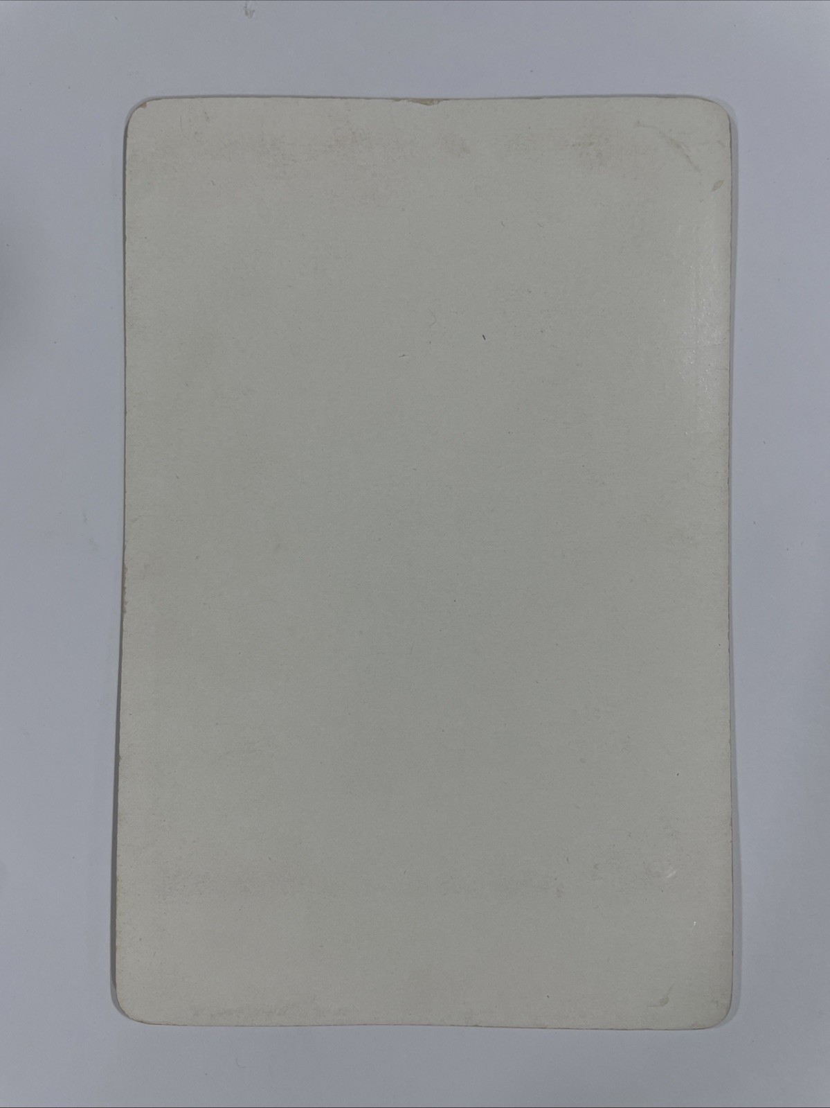 Civil War Carte De Visite CDV Prince Otto Edward Leopold Von Bismark Chancellor