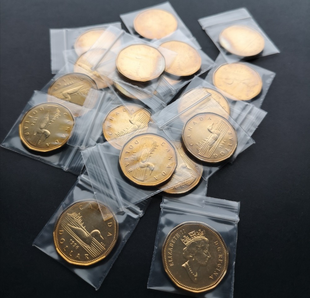*** CANADA  LOONIE  1996 *** FROM  MINT  ROLL ***  LIGHTLY  TONED  ***