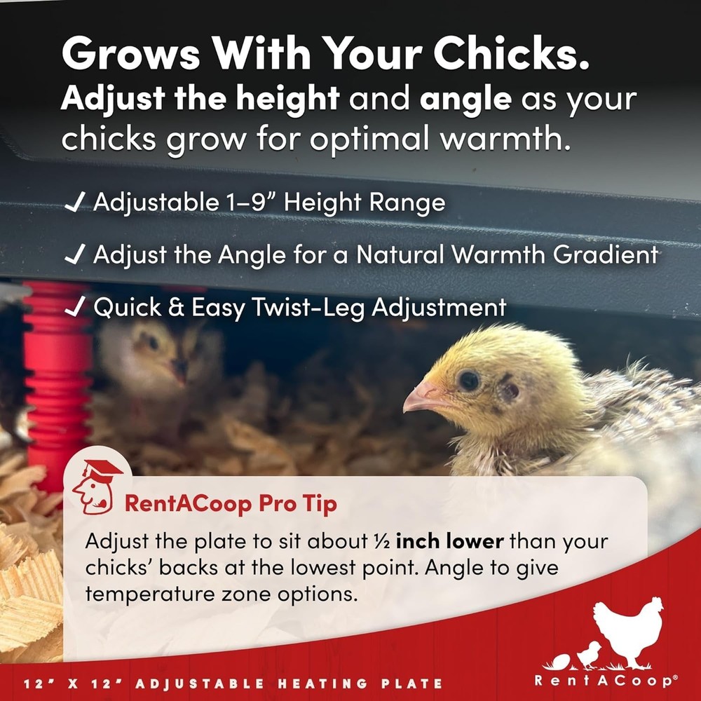 Adjustable Heating Plate 12x12” for 20 Chicks – Energy-Efficient & Safe Design