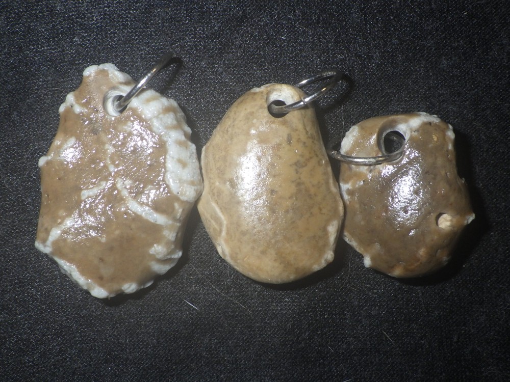 Chain Coral Halysites Pendants
