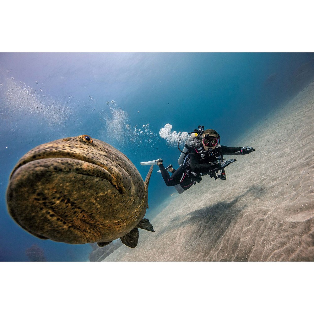 Scubapro HUD (Heads-Up Display) Without Transmitter