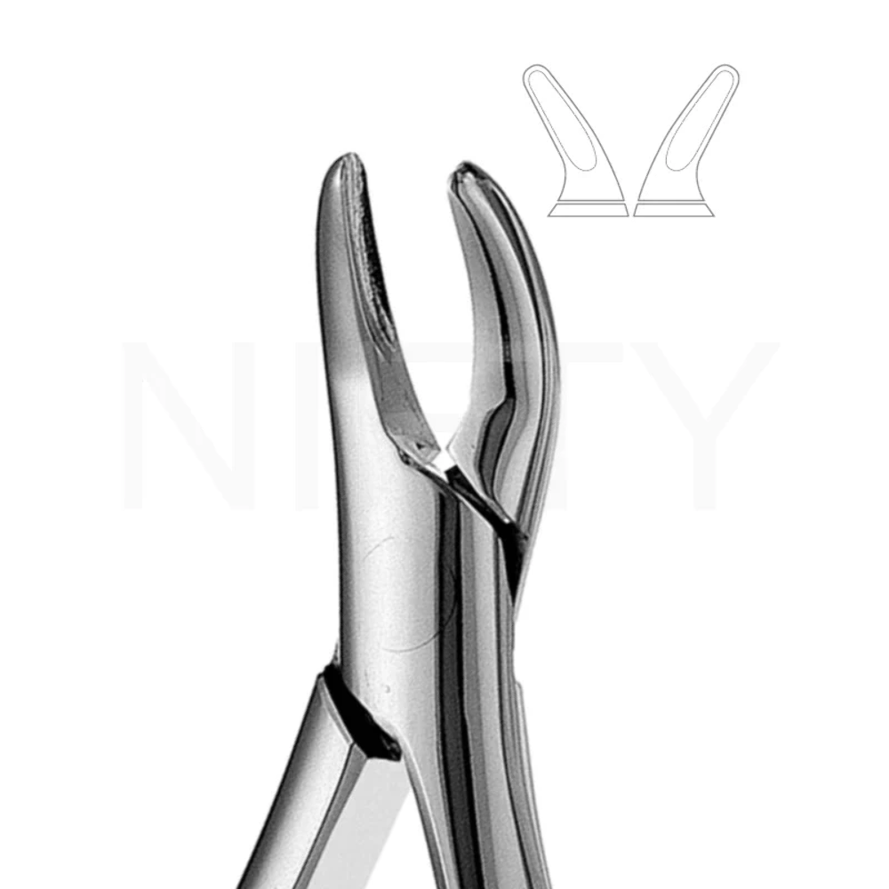 Extracting Forcep American Pattern Upper + Lower Interior & Splitting #101