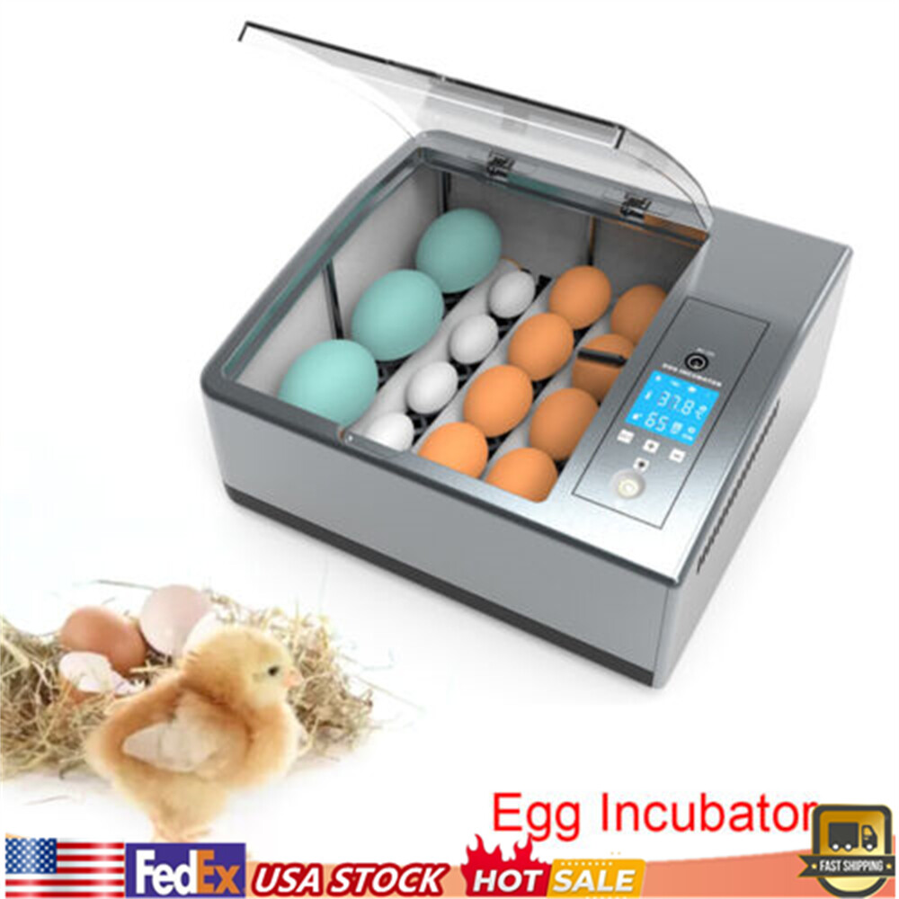 16 Chicken Egg Incubator Fit Hatching Eggs with Automatic Turner Temp Control US