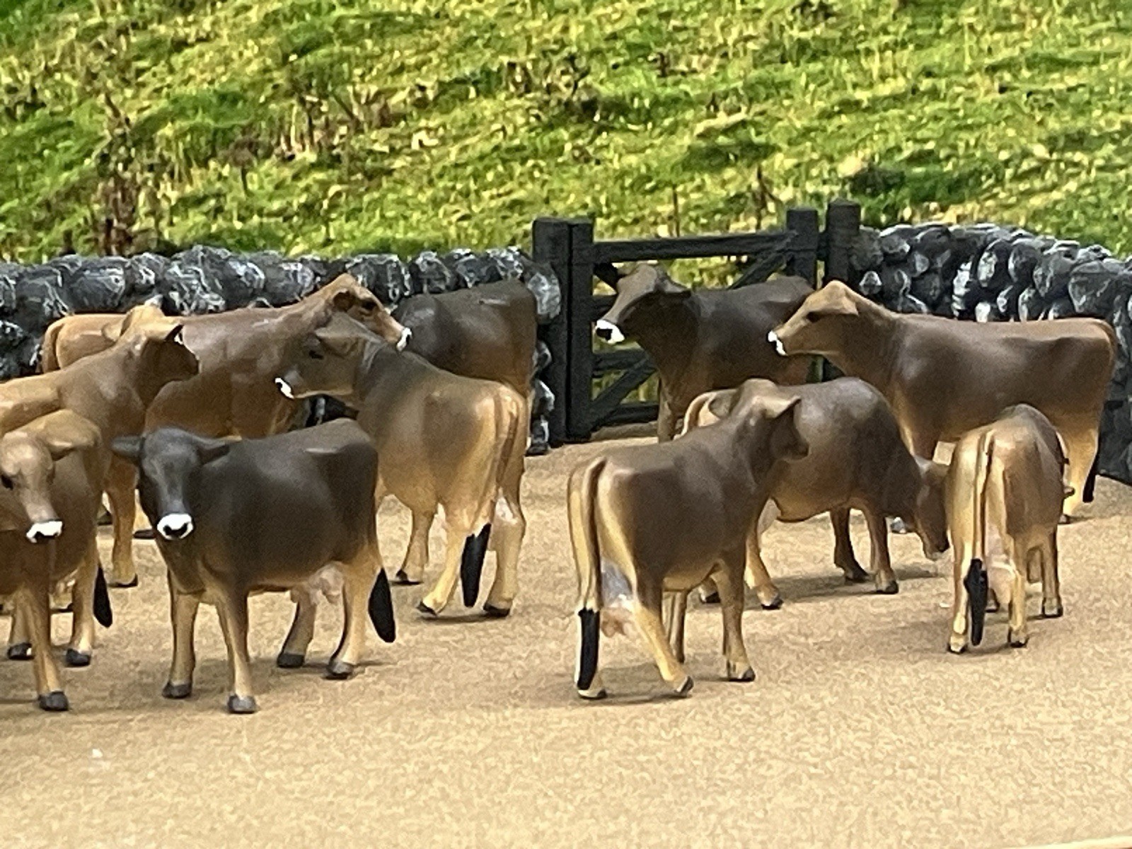 Custom CM Ertl 1:64 Lot Of 12 Jersey/Brown Swiss Milk Cows Cattle Farm Scene