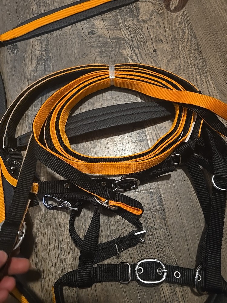 Horse Bridle Set