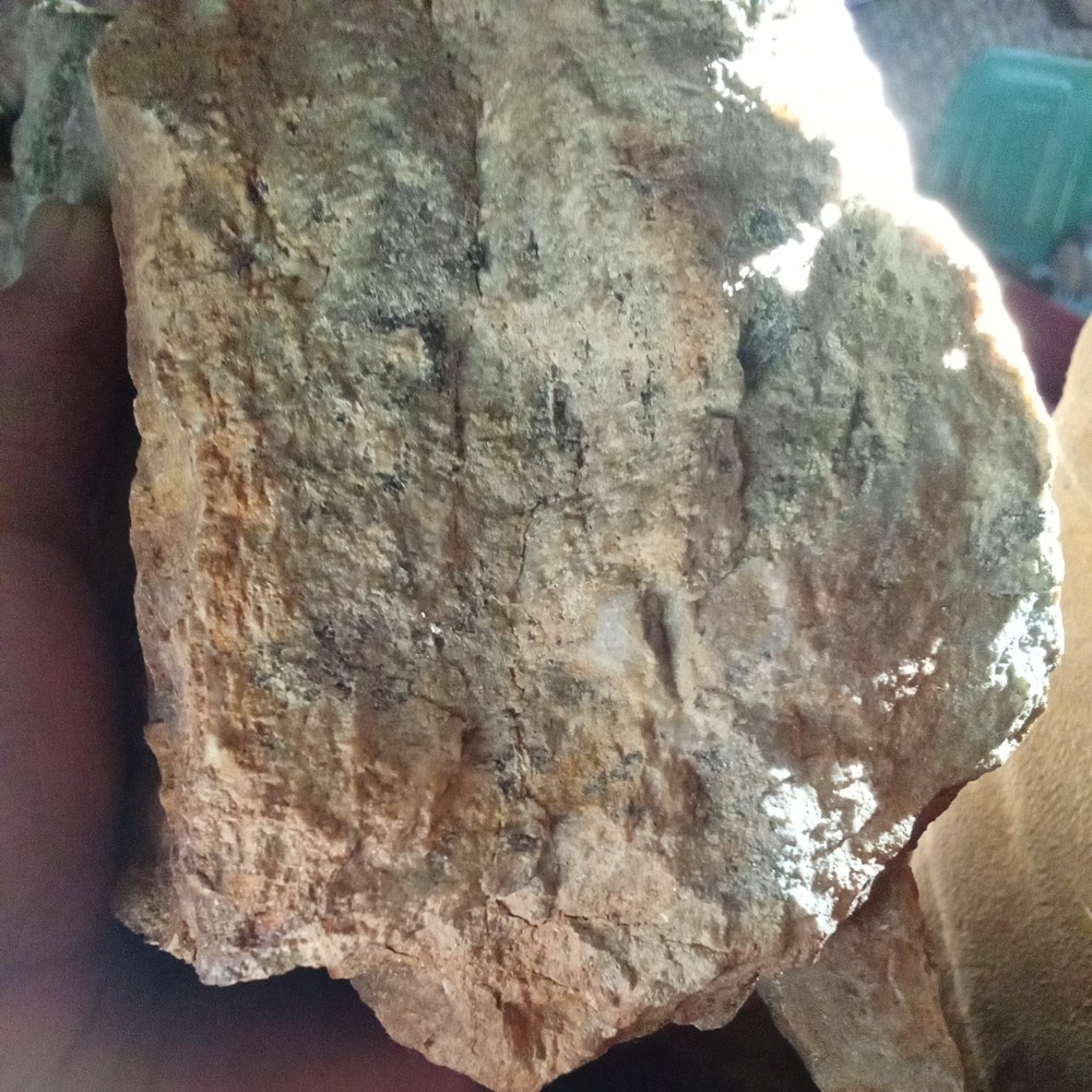 Nor Cal Gold Ore