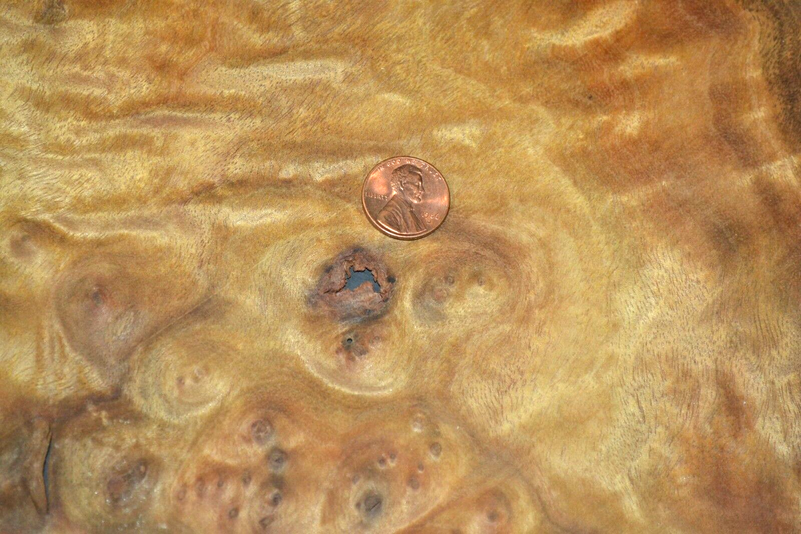 Camphor Burl Raw Wood Veneer Sheet 11.5 x 14.5 inches 1/42nd thick 4672-83