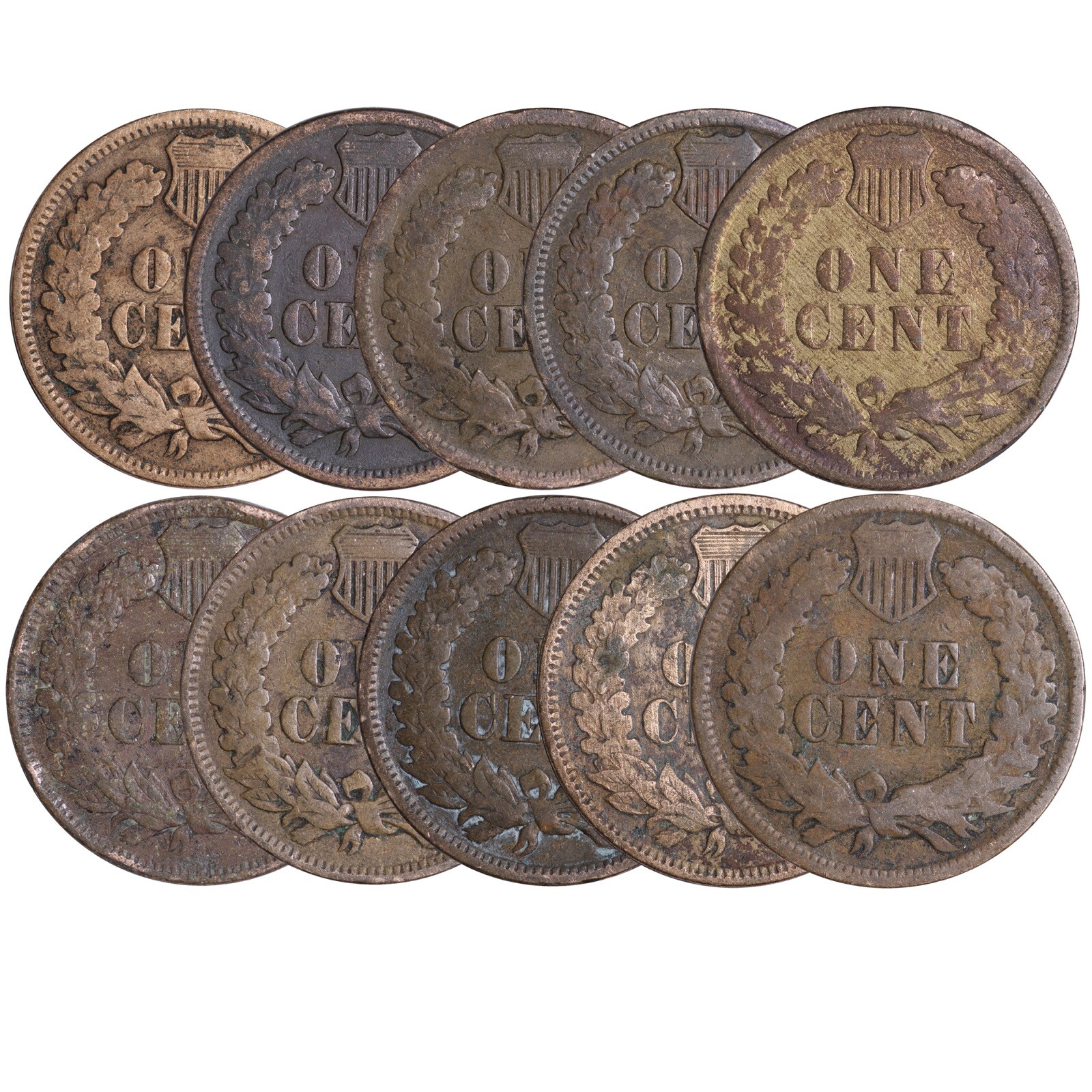 (10 PC. LOT) Indian Head Cent Pennies AVERAGE CIRCULATED