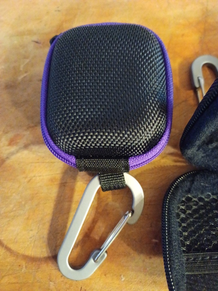 Mini Case For Earbuds SD Cards Etc