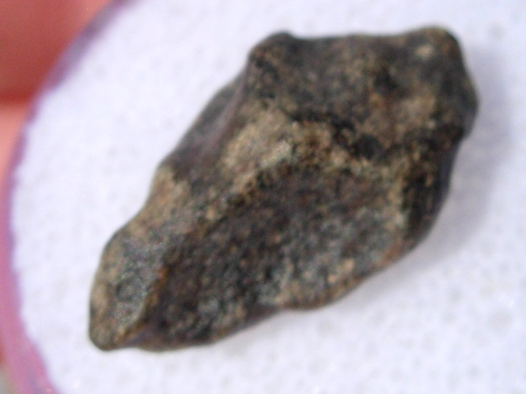 1.49 grams 18x9x7mm Amgala 001 Martian Shergottite individual Meteorite + COA