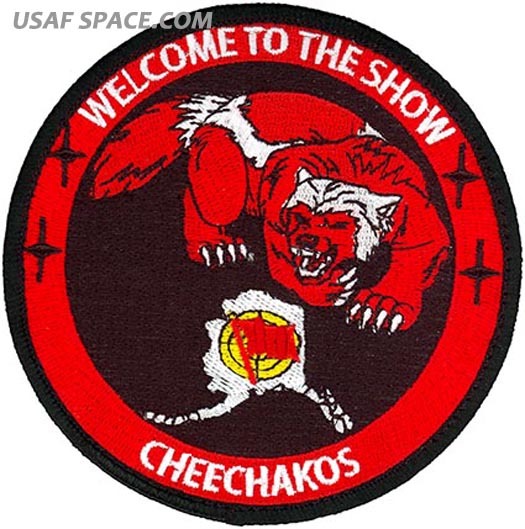 USAF 354th OPERATIONS GROUP -DETACHMENT 1- A-10 -Eielson AFB, AK- ORIGINAL PATCH