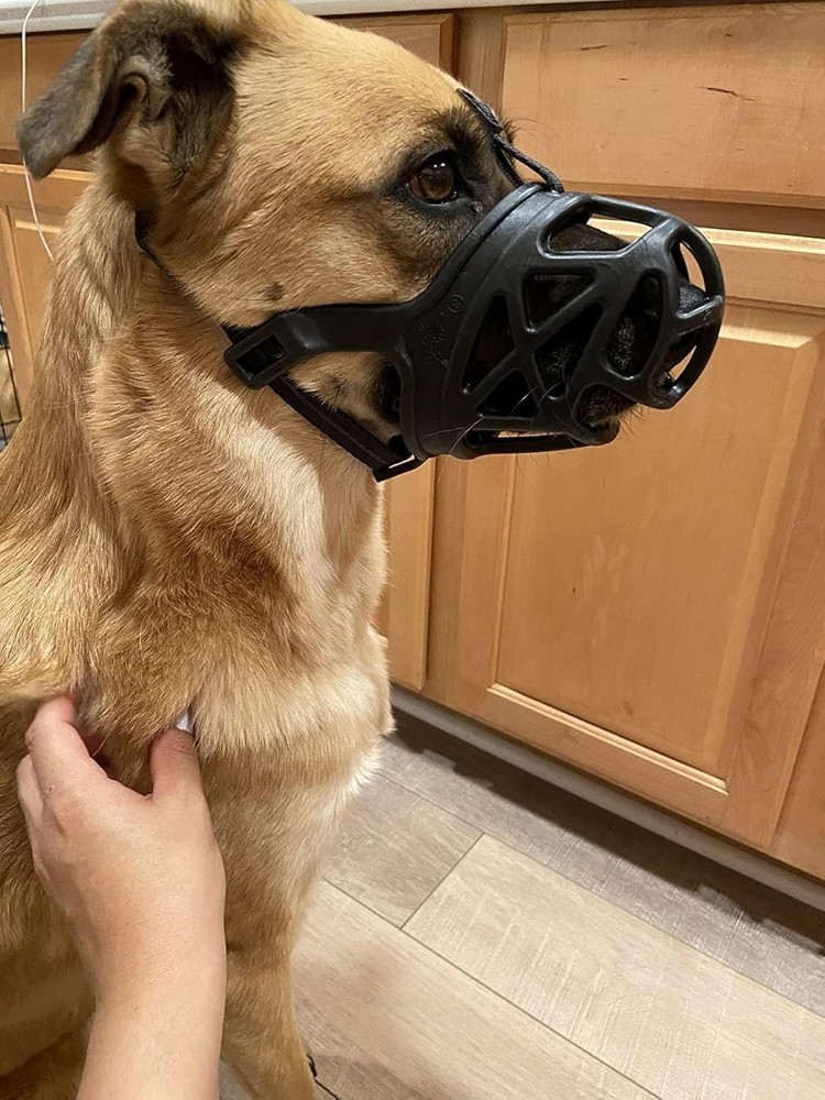 Mayerzon Dog Muzzle, Breathable Basket Muzzles - Size Medium