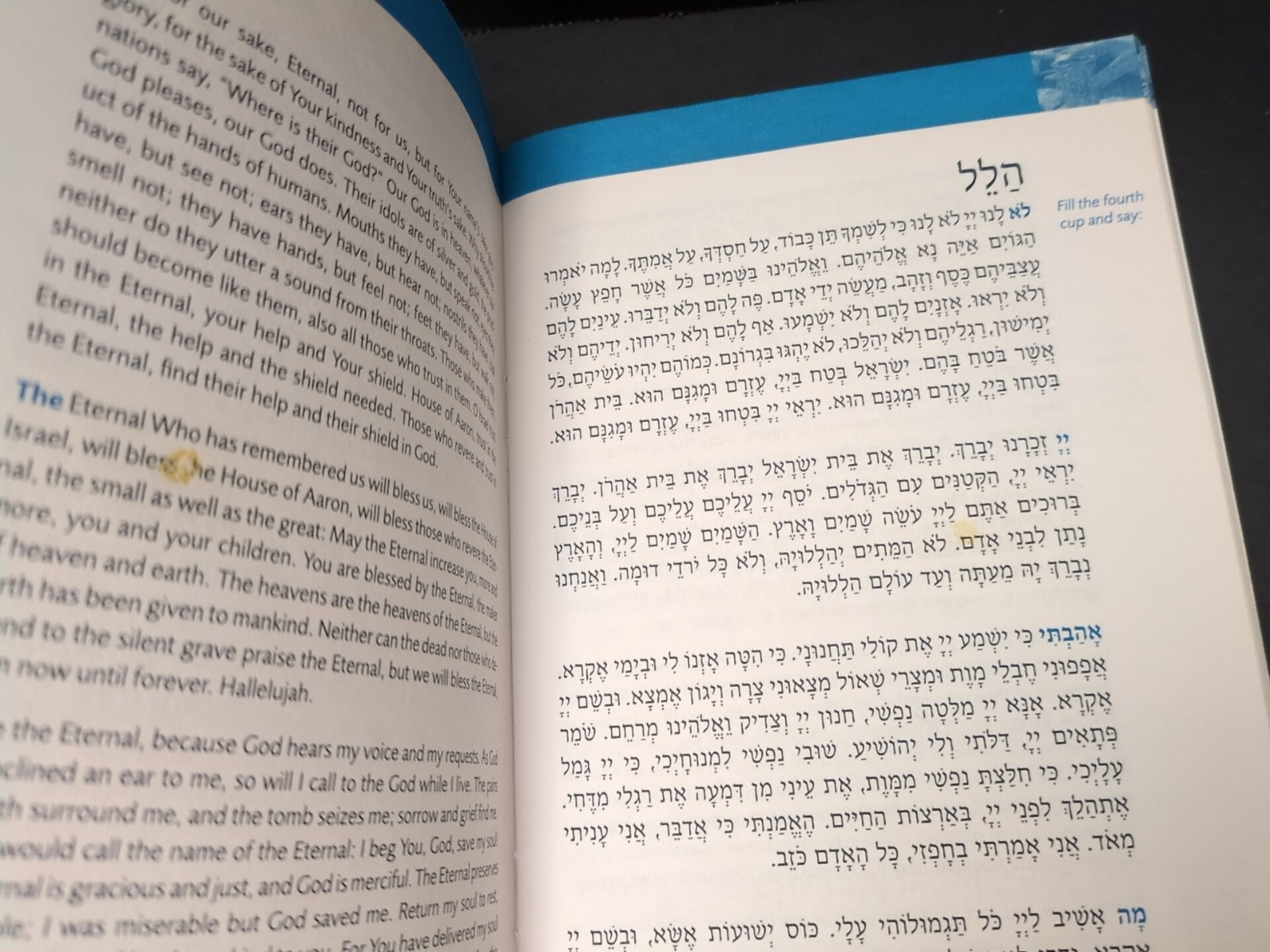 Passover Maxwell House Haggadah -lot of 5 - 2021 Edition