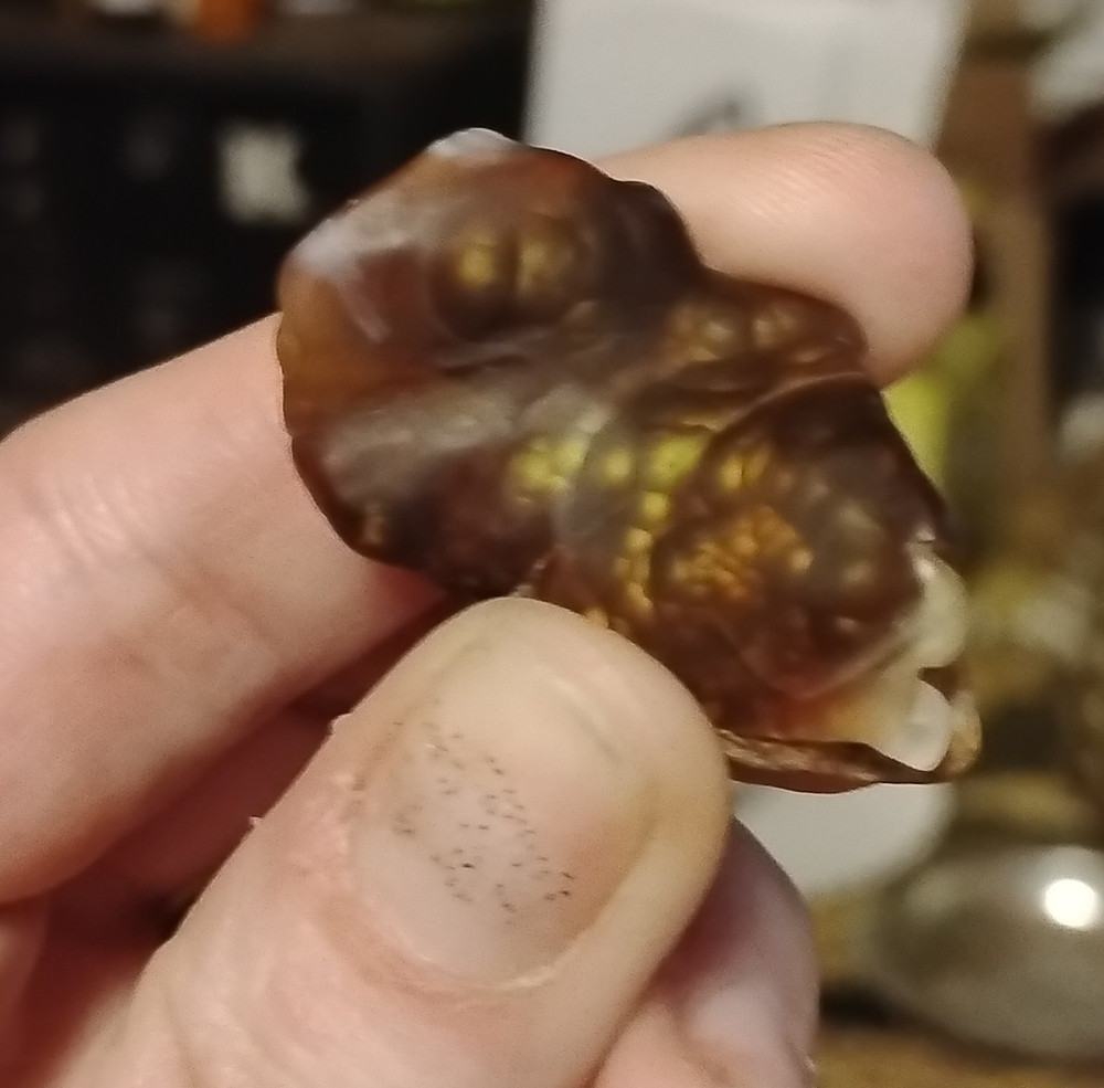 fire agate translucent Rough Brown Mineral Specimen for Cabbing