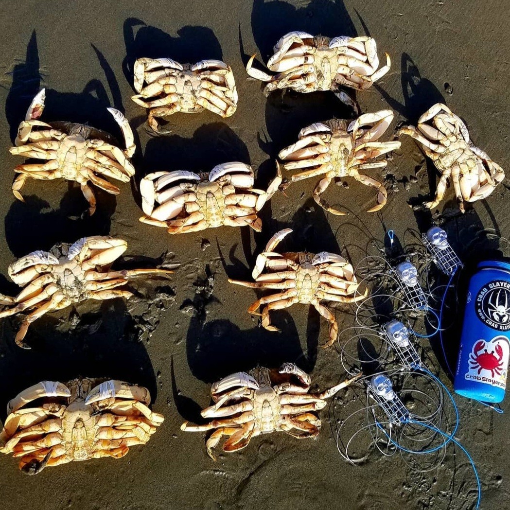 Crab Slayer 🦀 Snare 💀