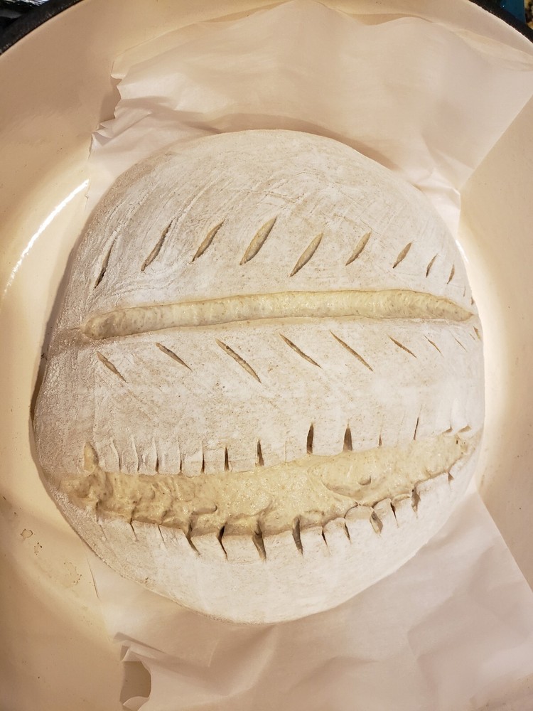 Organic DEHYDRATED SOURDOUGH STARTER