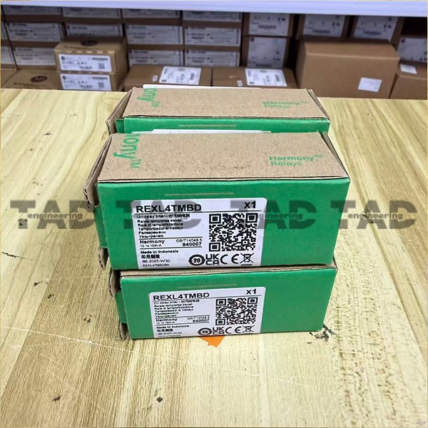 New SCHNEIDER REXL4TMBD Timing Relay