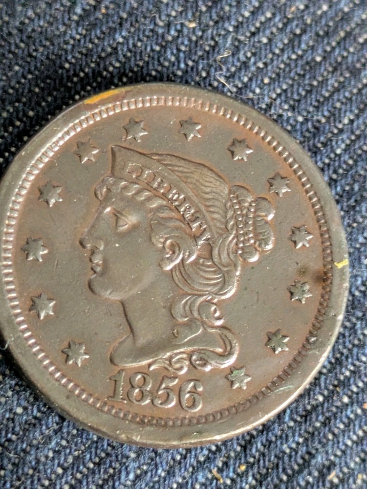 1856  Large Cent  Dark Toned AU