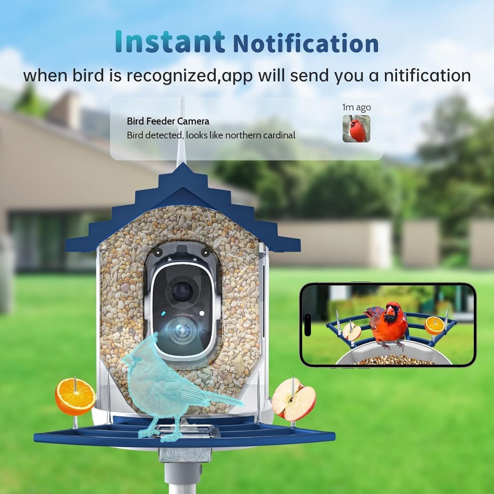 Smart Bird Feeder with Camera Solar Powered & AI Bi rd Identification
