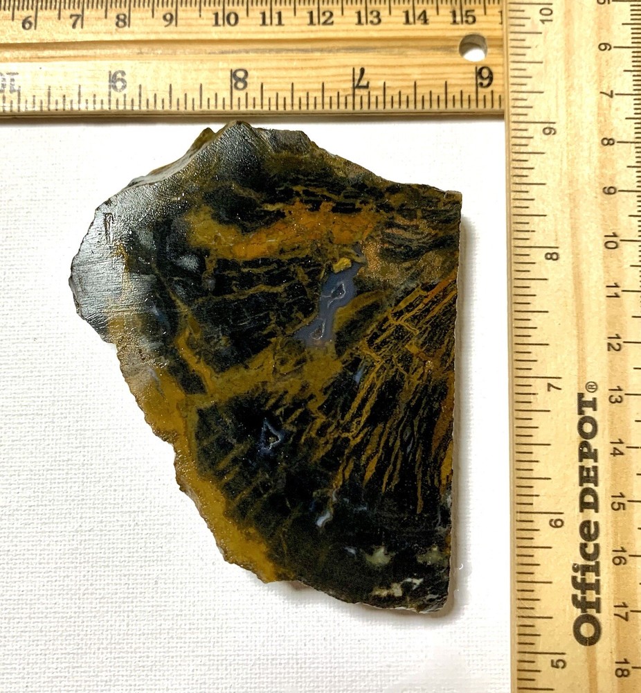 indonesian petrified wood