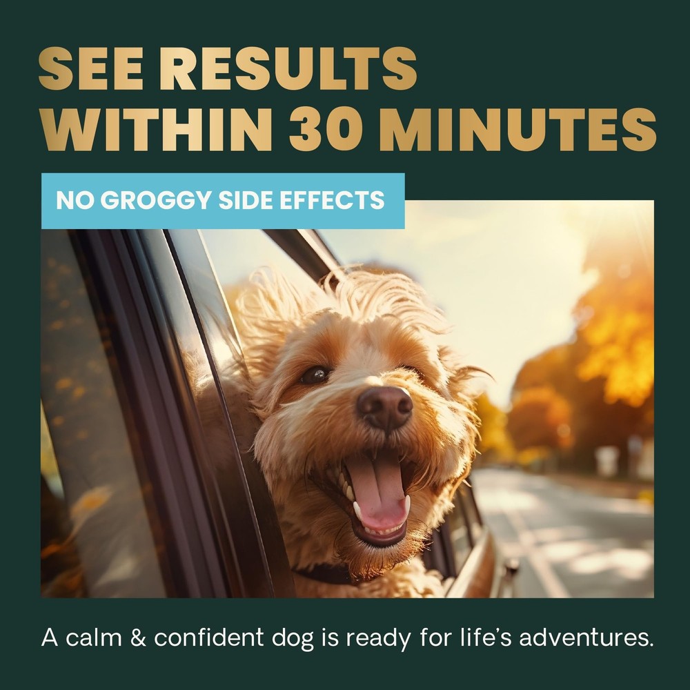 VetriScience Calm & Confident Chews, Composure Clinically 60 60 Chews
