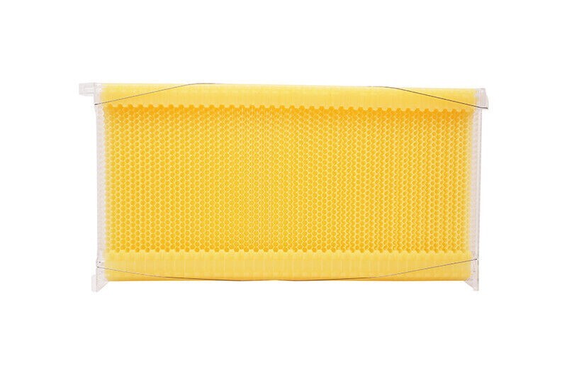 Auto Shed Bee Hives Super Box Beekeeping Hives + 7x Bee Hive Frames Bee Frames