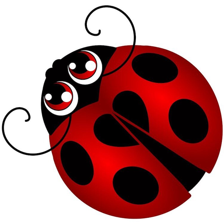CafePress Ladybug 10" Wall Clock (1519370232)