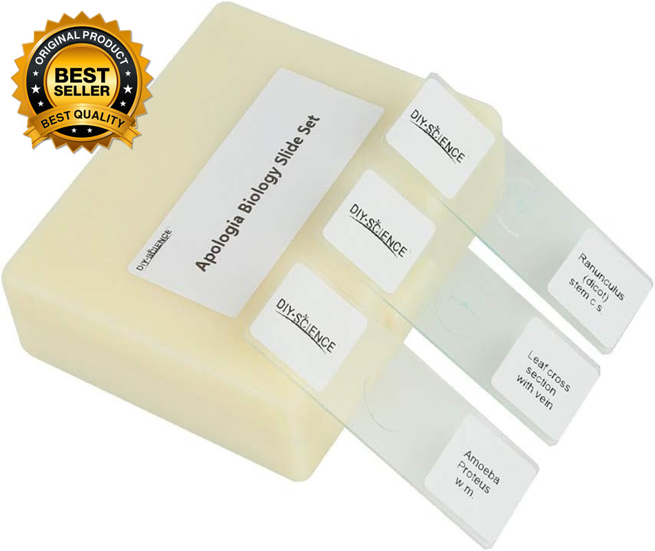 Prepared Microscope Slides Set Apologia Biologyo 16Pcs Specimens Specifically