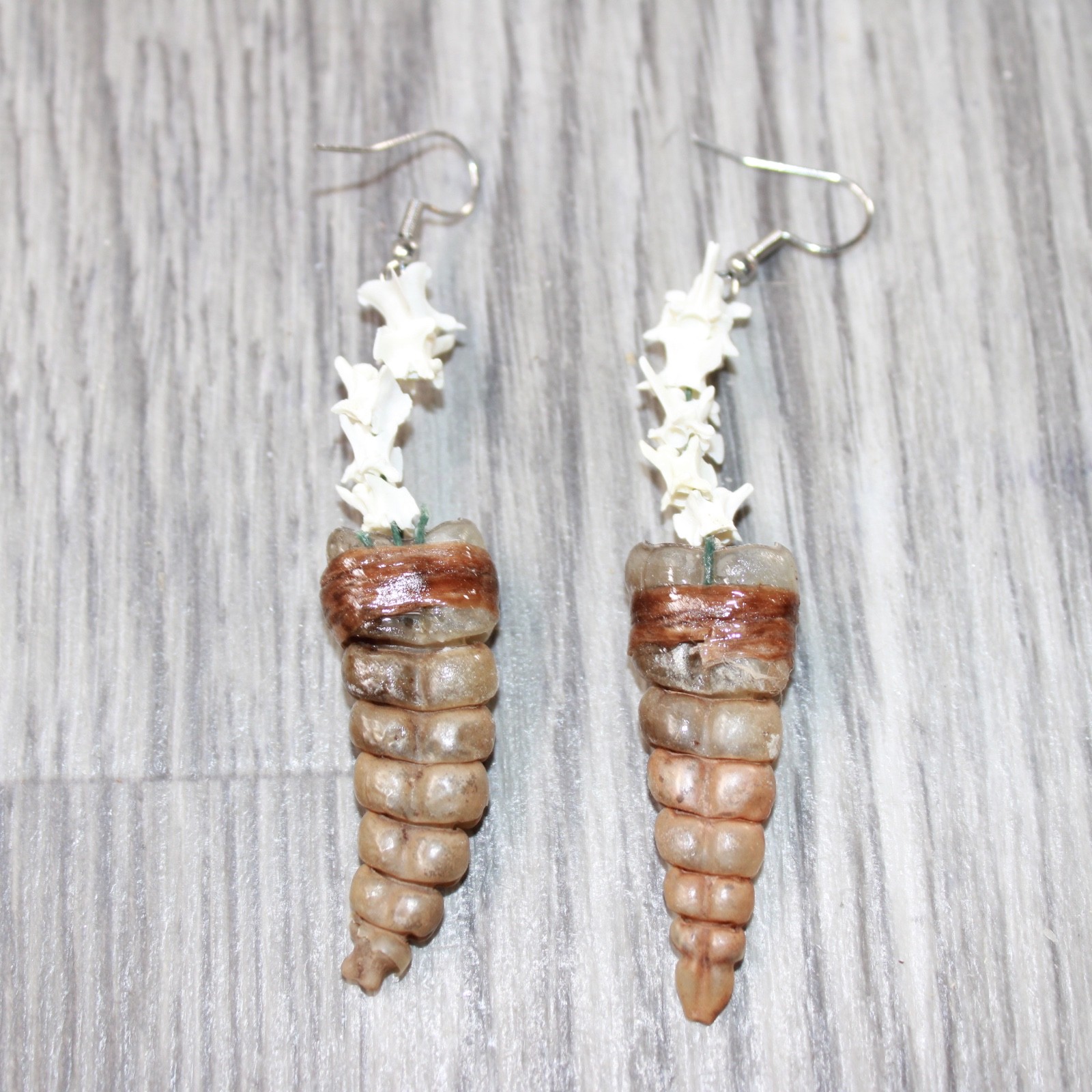 Rattlesnake Rattle Plus Vertebrae Earrings  #4663  Mountain Man Earrings