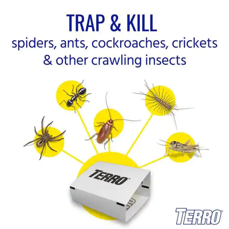 Non-Toxic Spider and Insect Trap (4-Count)