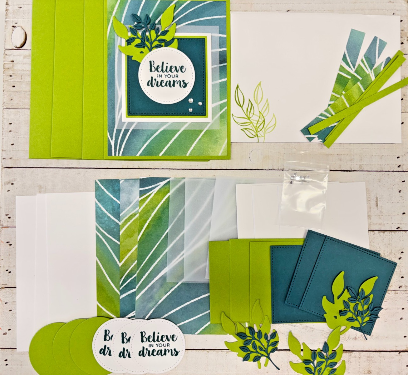 Stampin' Up! Card Kit - PAINTED ILLUSIONS - All Inclusive Set of 4 Cards