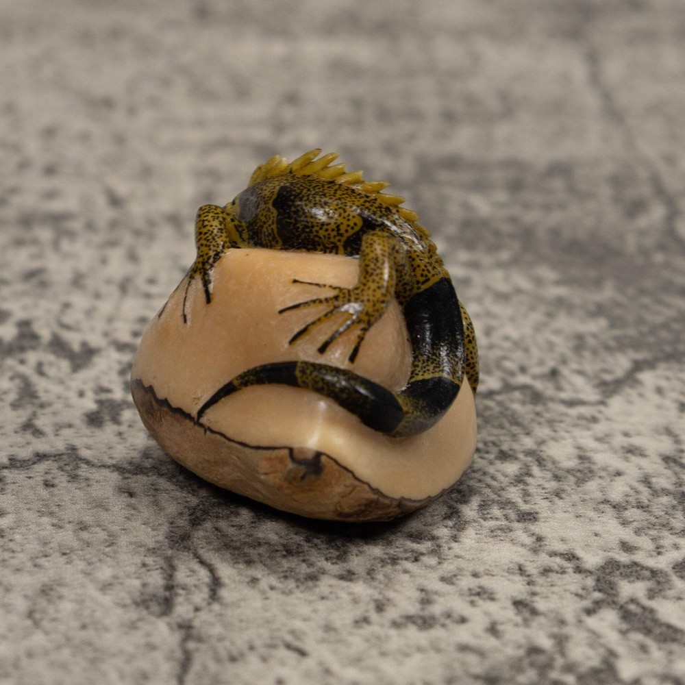 Iguana Lizard Reptile Tagua Carving