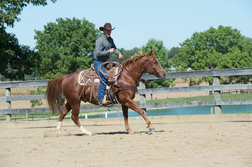 Weaver Leather, Working Tack Roper Rein
