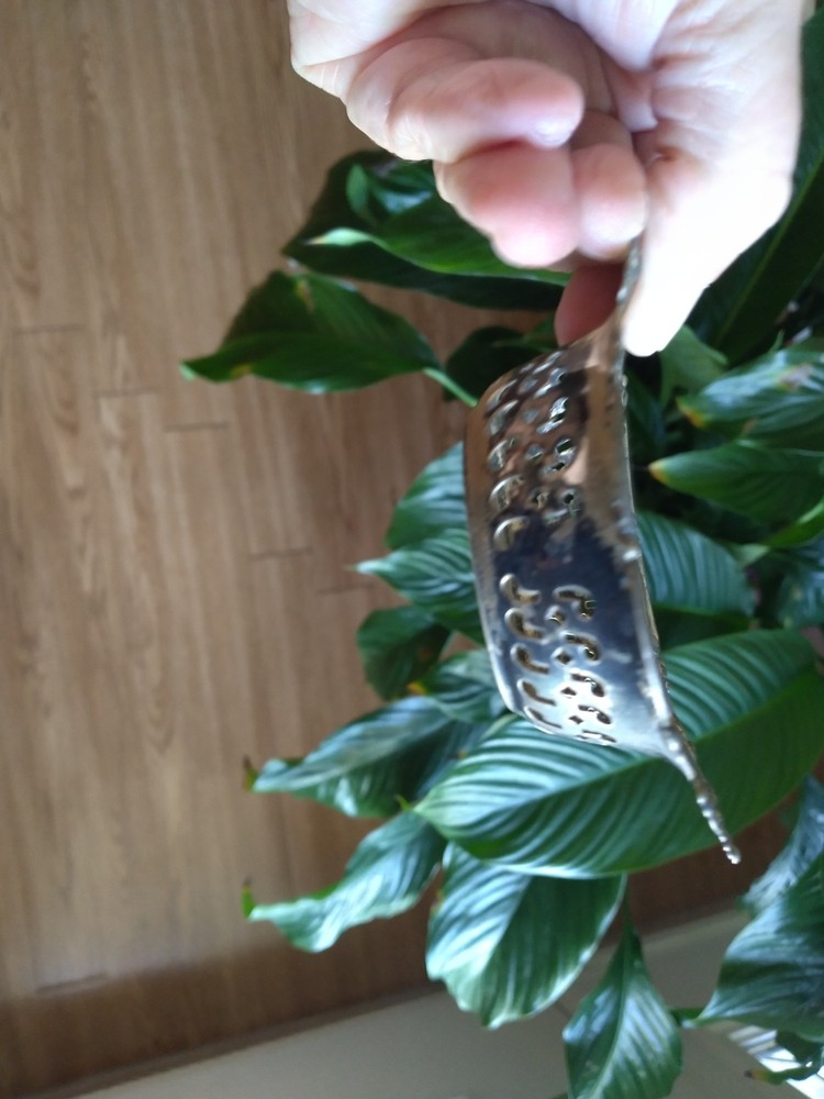 Gorham Sterling Silver Pattern 4780 1900-1940 .925